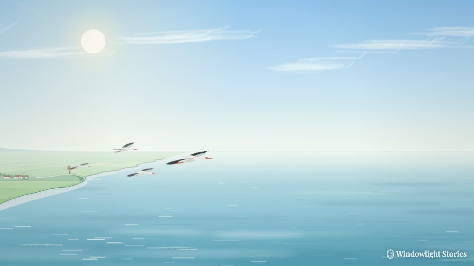 The long flight